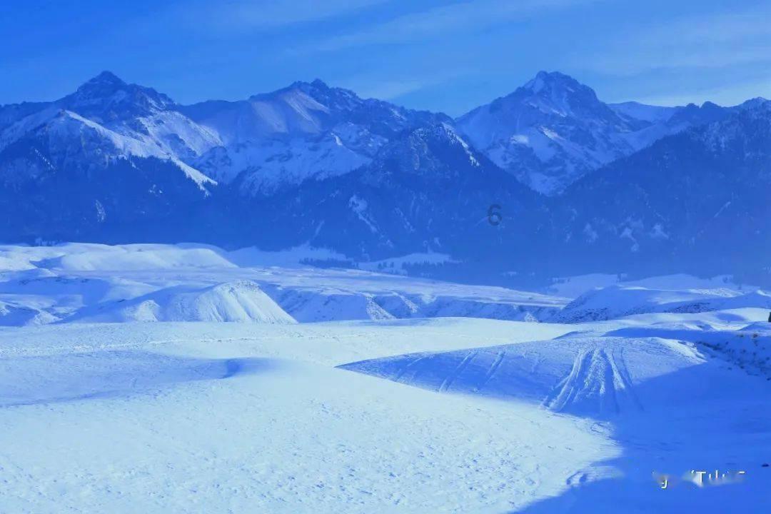 国务院成立江西新余“1•24”特别重大火灾事故调查组